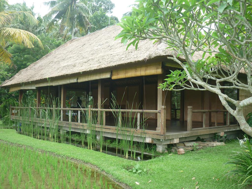 Resort Ananda