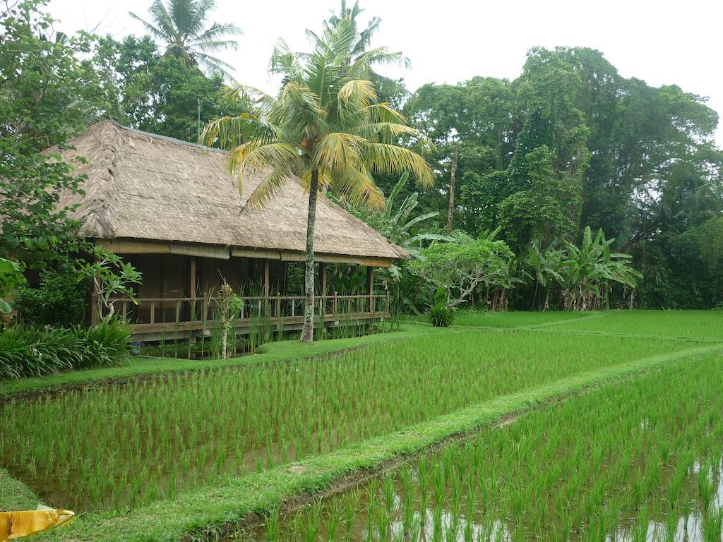 Ananda 4* Ubud (Bali)