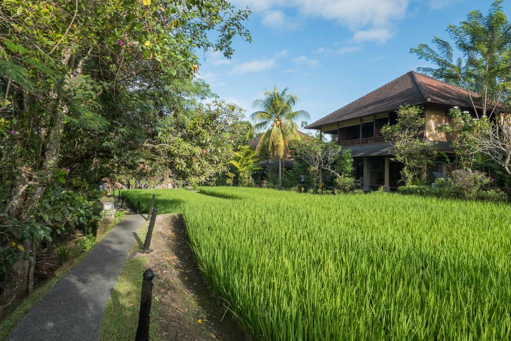 Resort Ananda