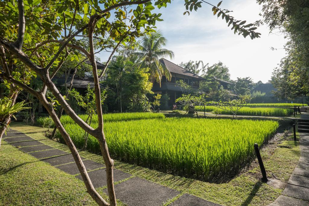 Resort Ananda